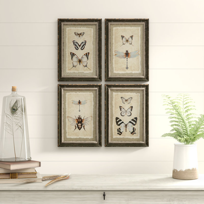 Birch Lane™ 'Wood Framed Vintage Insect Prints' 4 Piece Picture Frame